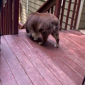 Meet your Posher, Kevin